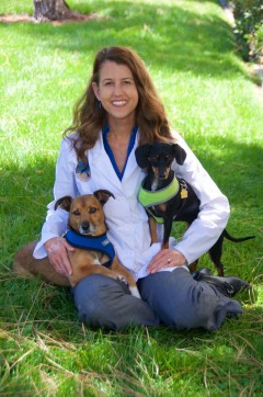 Dr. Deirdre Brandes is a veterinarian who works with dogs, cats, rabbits, rats, and nearly all pets at Rancho Santa Fe Veterinary Hospital, a veterinary hospital in San Diego county. Working along side three associate veterinarians at our hospital, she is the sole owner and medical director. She completed her undergraduate work at UC Davis and received her veterinary degree from Cornell.